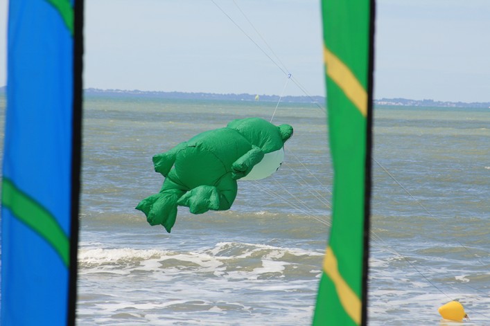 Notre Dame Kite Festival, France, 7-10 July 2011 - 11not09img076.jpg