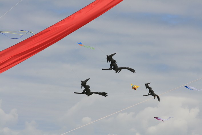Notre Dame Kite Festival, France, 7-10 July 2011 - 11not09img086.jpg