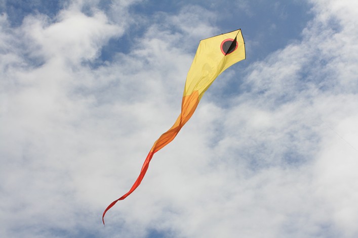 Notre Dame Kite Festival, France, 7-10 July 2011 - 11not09img090.jpg