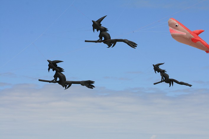 Notre Dame Kite Festival, France, 7-10 July 2011 - 11not09img101.jpg