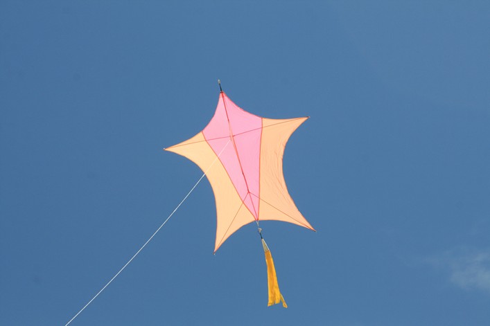 Notre Dame Kite Festival, France, 7-10 July 2011 - 11not09img102.jpg