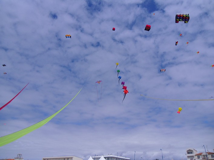 Notre Dame Kite Festival, France, 7-10 July 2011 - 11not09img139.jpg