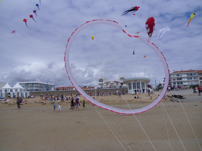 Notre Dame Kite Festival, France, 7-10 July 2011 - 11not09img151.jpg