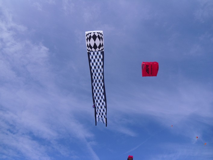 Notre Dame Kite Festival, France, 7-10 July 2011 - 11not09img210.jpg