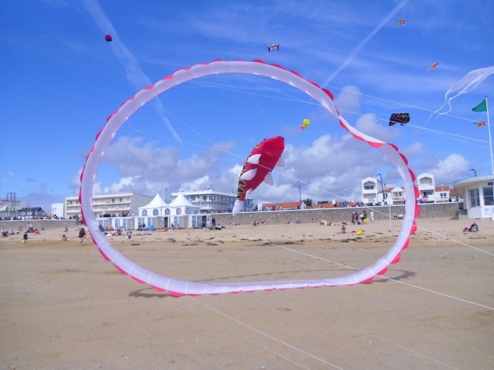 Notre Dame Kite Festival, France, 7-10 July 2011 - 11not09img211.jpg