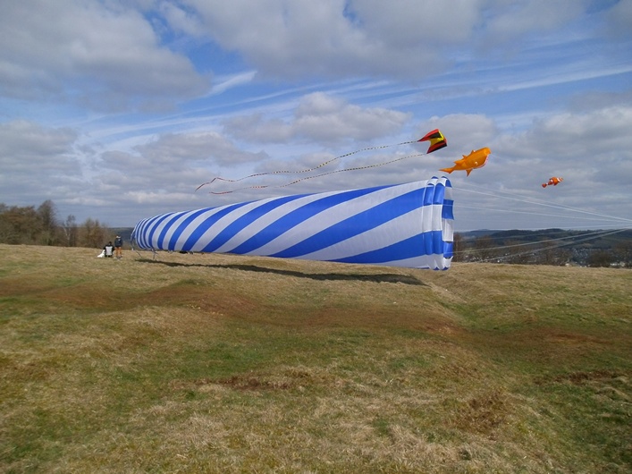 Rodborough Common, 31 March 2013 - 13Rod31img005.jpg