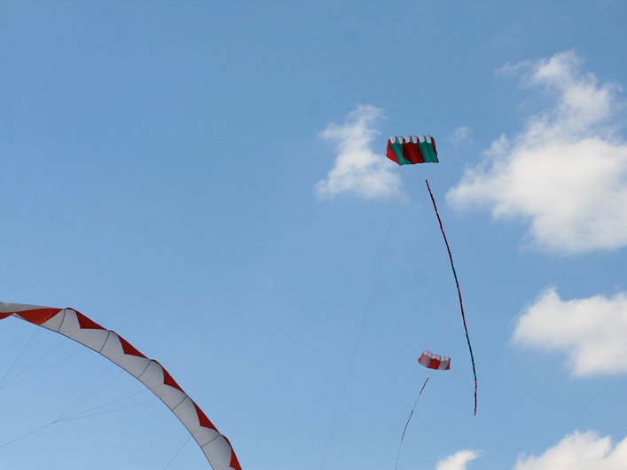 Rodborough Common, 31 March 2013 - 13Rod31img023.jpg