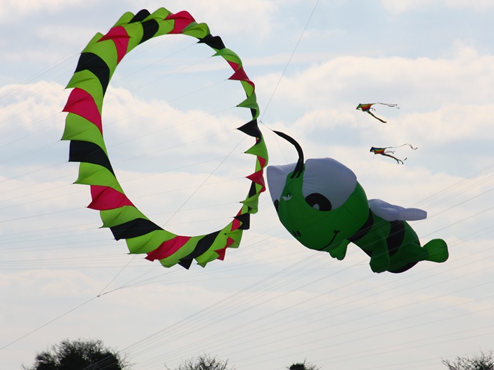 Rodborough Common, 31 March 2013 - 13Rod31img030.jpg