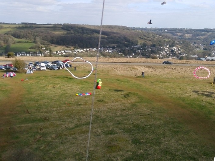 Rodborough Common, 31 March 2013 - 13Rod31img045.jpg