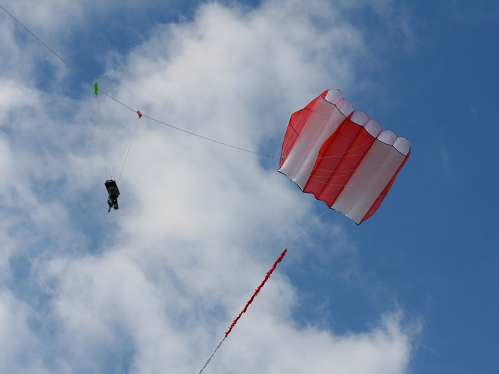 Rodborough Common, 31 March 2013 - 13Rod31img187.jpg