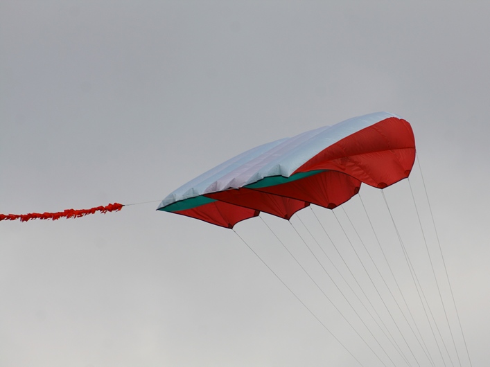 Rodborough Common, 31 March 2013 - 13Rod31img195.jpg