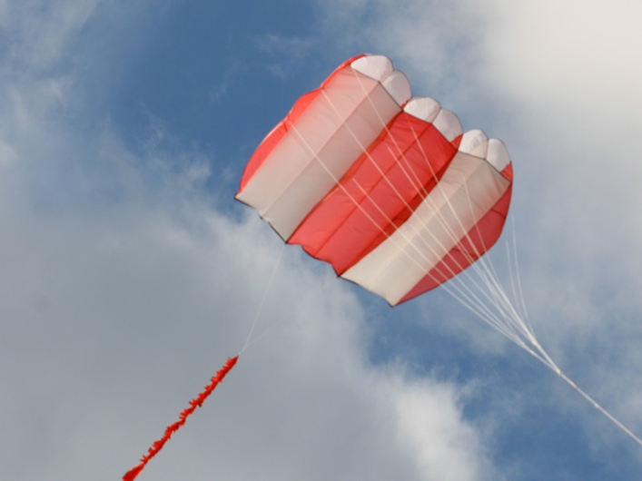 Rodborough Common, 31 March 2013 - 13Rod31img212.jpg