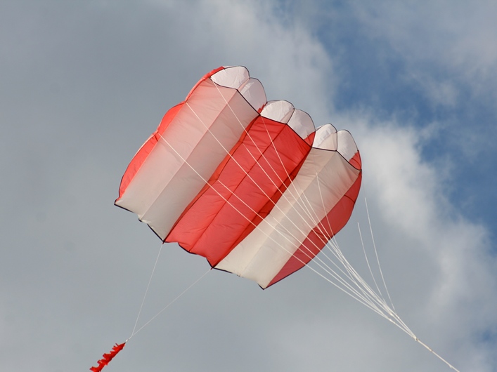 Rodborough Common, 31 March 2013 - 13Rod31img213.jpg