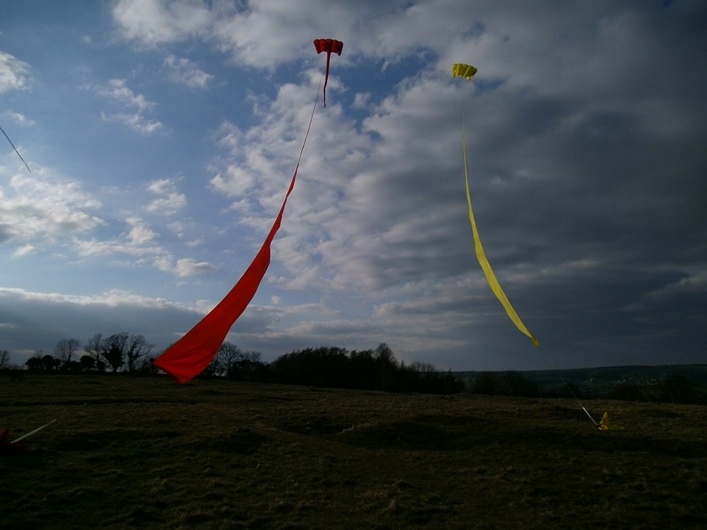 Rodborough Common, 31 March 2013 - 13Rod31img224.jpg