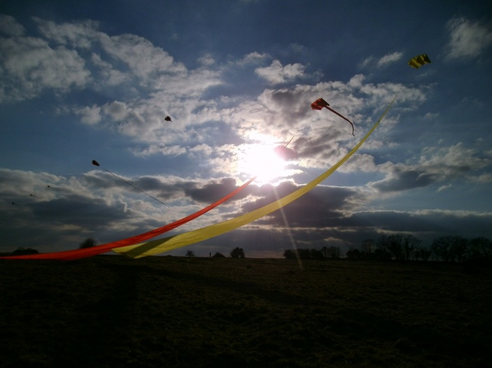 Rodborough Common, 31 March 2013 - 13Rod31img226.jpg