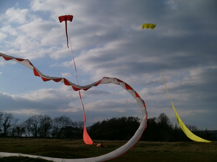 Rodborough Common, 31 March 2013 - 13Rod31img230.jpg