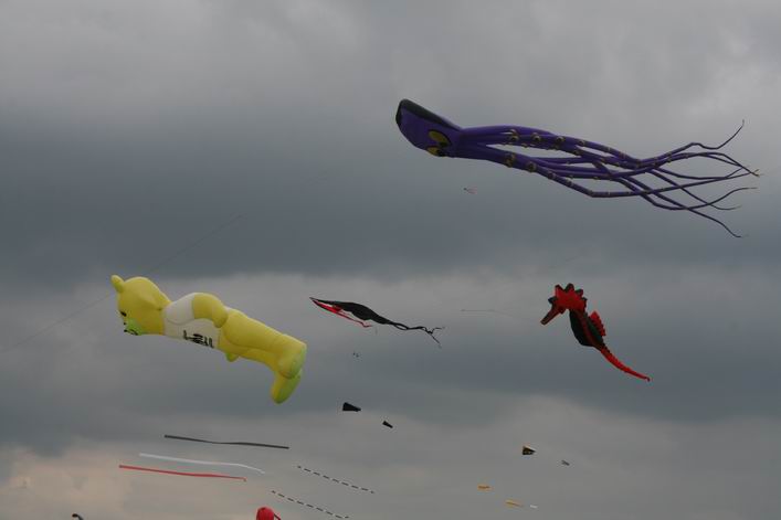 Suffolk Kite Festival - 10rou15img029.jpg