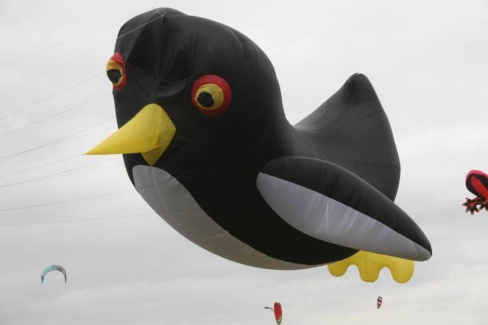 Suffolk Kite Festival - 10rou16img021.jpg