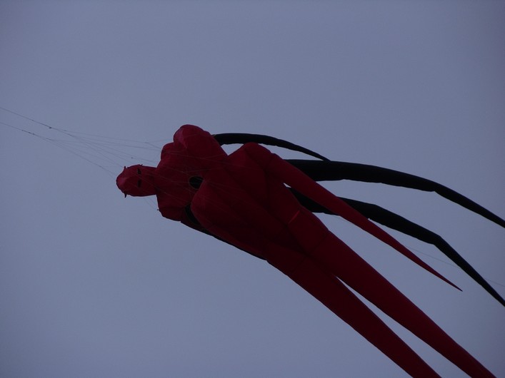 Sumners Ponds - Kite Weekenders, 22 May 2011 - 11sum22img041.jpg