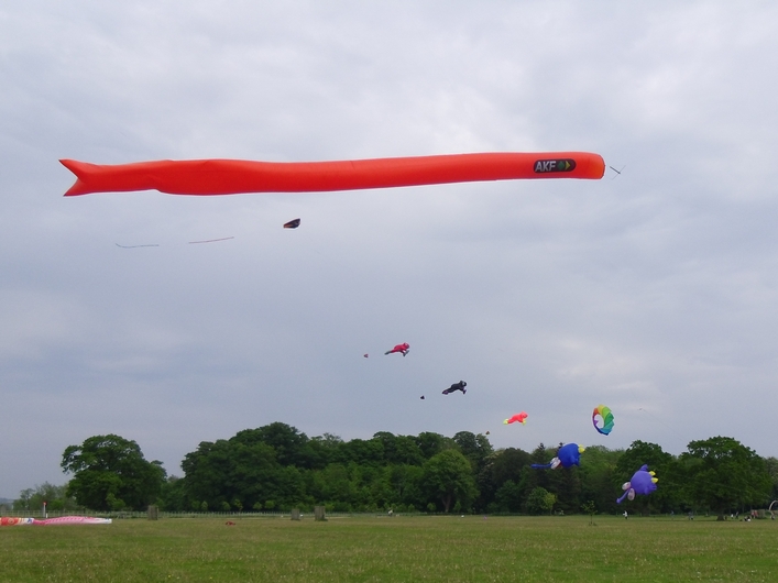 Swindon Kite Festival - 11swi07img001.jpg