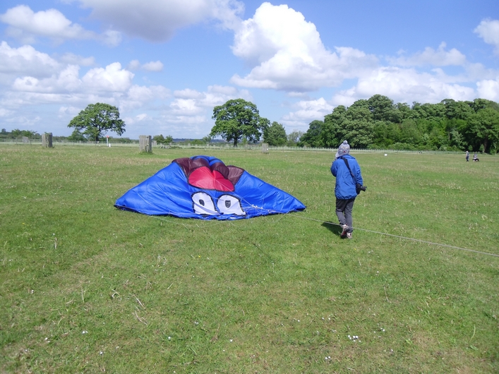 Swindon Kite Festival - 11swi08img036.jpg