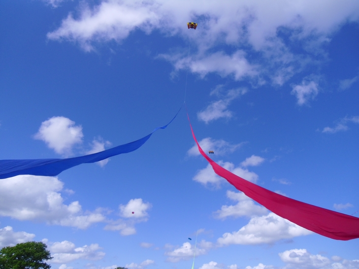 Swindon Kite Festival - 11swi08img047.jpg