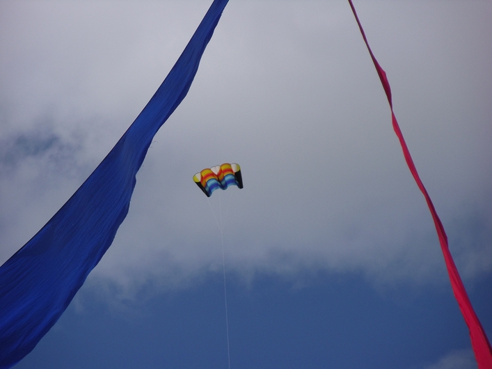 Swindon Kite Festival - 11swi08img051.jpg