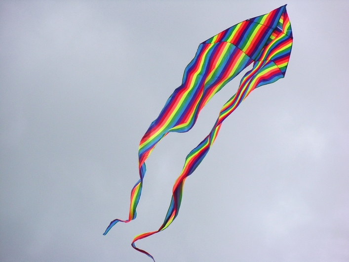 Swindon Kite Festival - 11swi08img084.jpg