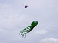 Swindon Kite Festival - 11swi07img010.jpg